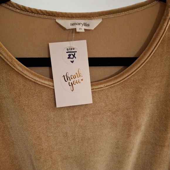 Velour mini dress Champagne color size 2x NWT - Picture 6 of 9